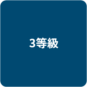 3等級 チームリーダ
