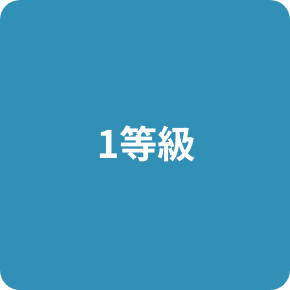 1等級
